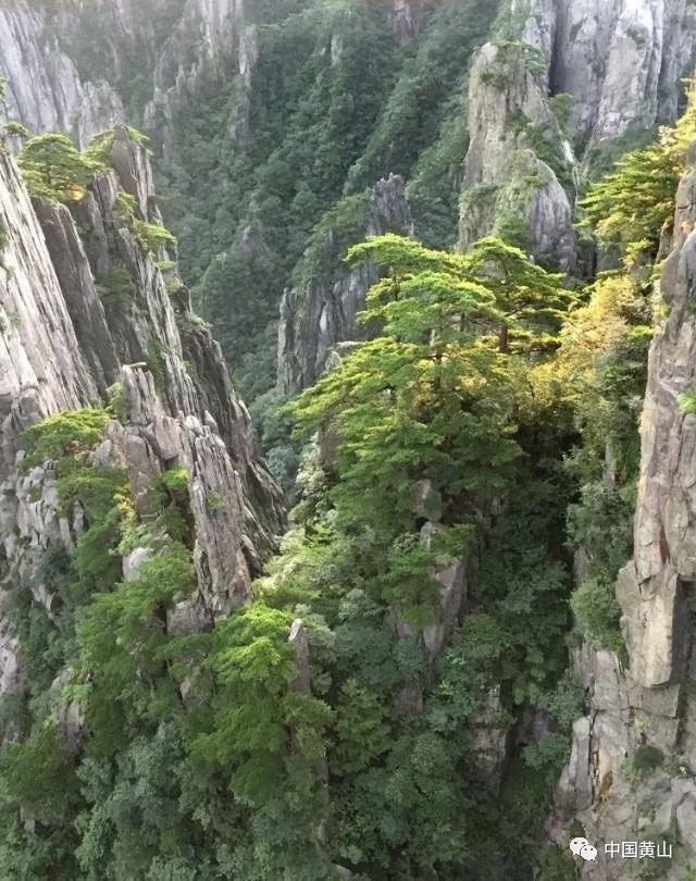 让我们谈一场48小时的恋爱吧